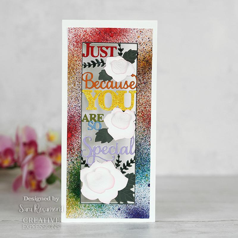 Creative Expressions Sue Wilson Slimline You Are So Special Craft Die-4