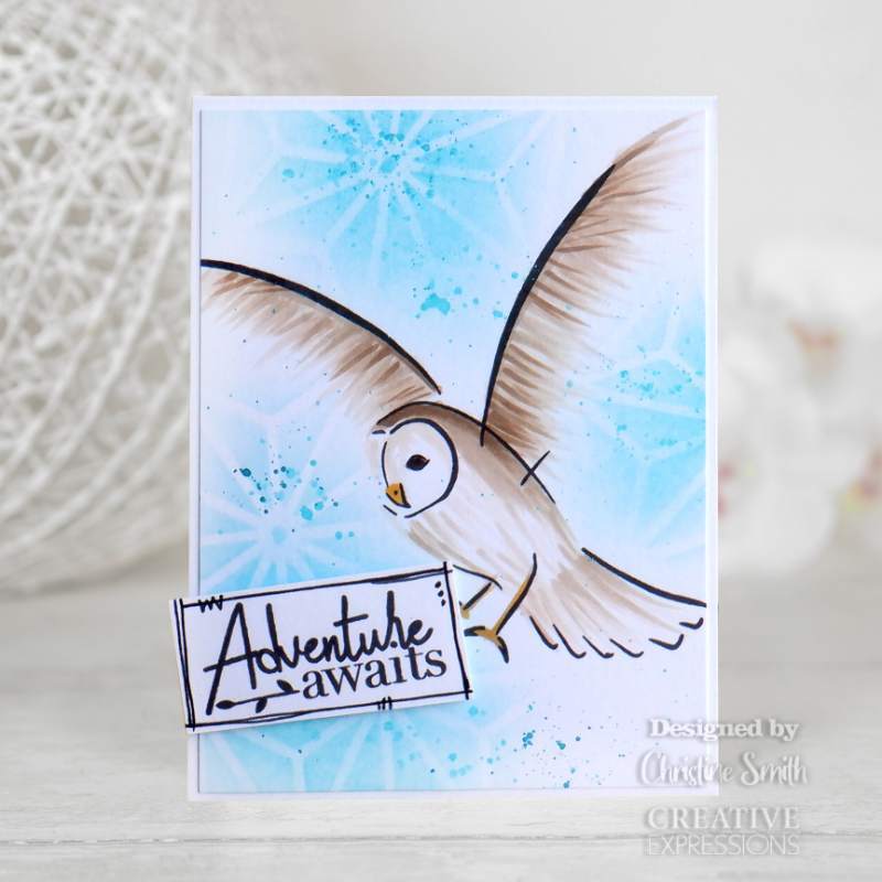 Creative Expressions Bonnita Moaby Stay Wild A5 Clear Stamp Set-2