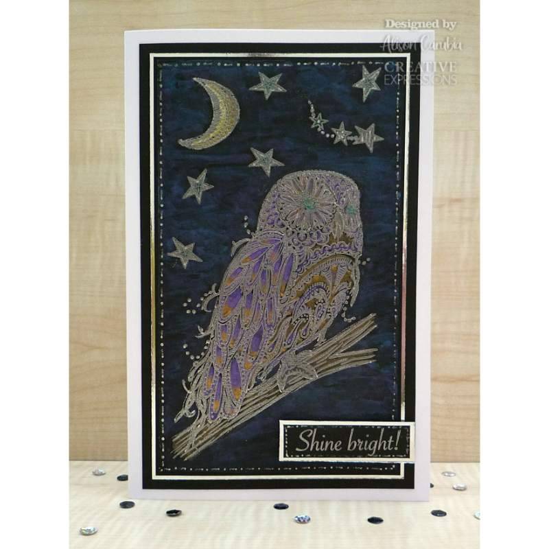 Creative Expressions Designer Boutique Doodle Owl 6 in x 4 in Clear Stamp Set-2