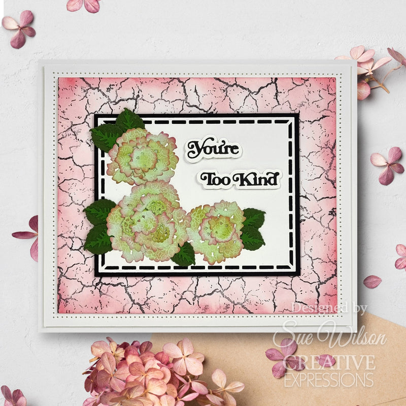 Creative Expressions Sue Wilson Mini Shadowed Sentiments You're Too Kind Craft Die-2