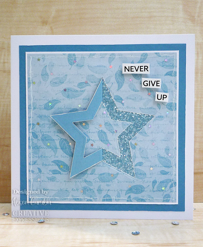 Creative Expressions Jamie Rodgers In and Out Collection Stars Craft Die-3
