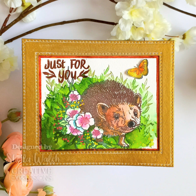 Creative Expressions Designer Boutique Over The Hedge 6 in x 4 in Stamp Set-2