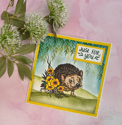 Creative Expressions Designer Boutique Over The Hedge 6 in x 4 in Stamp Set-5