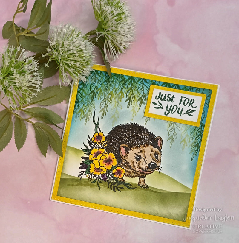 Creative Expressions Designer Boutique Over The Hedge 6 in x 4 in Stamp Set-5