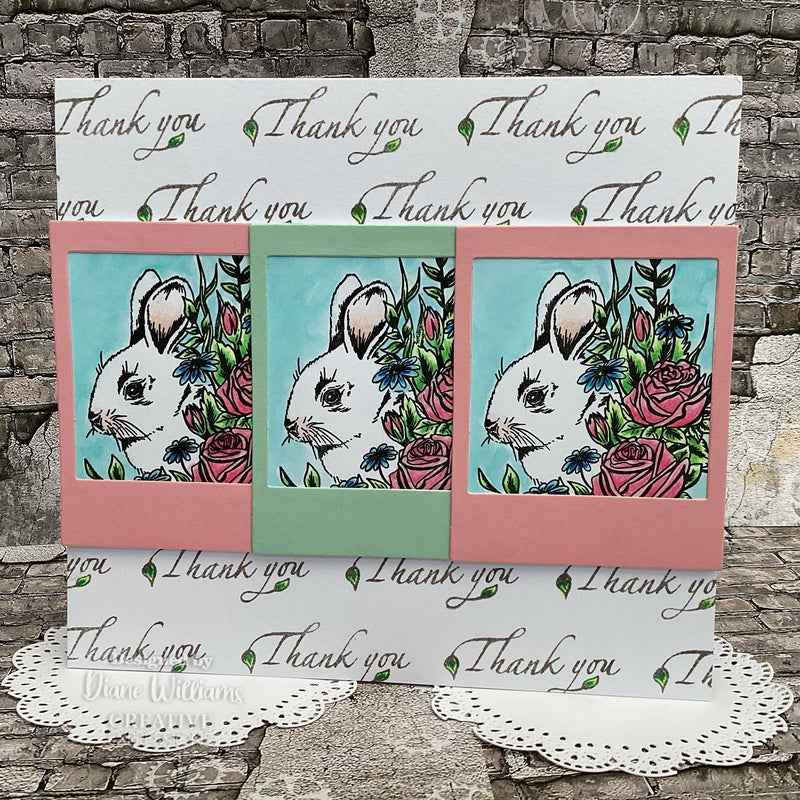 Creative Expressions Designer Boutique Rosy Whiskers 6 in x 4 in Stamp Set-2