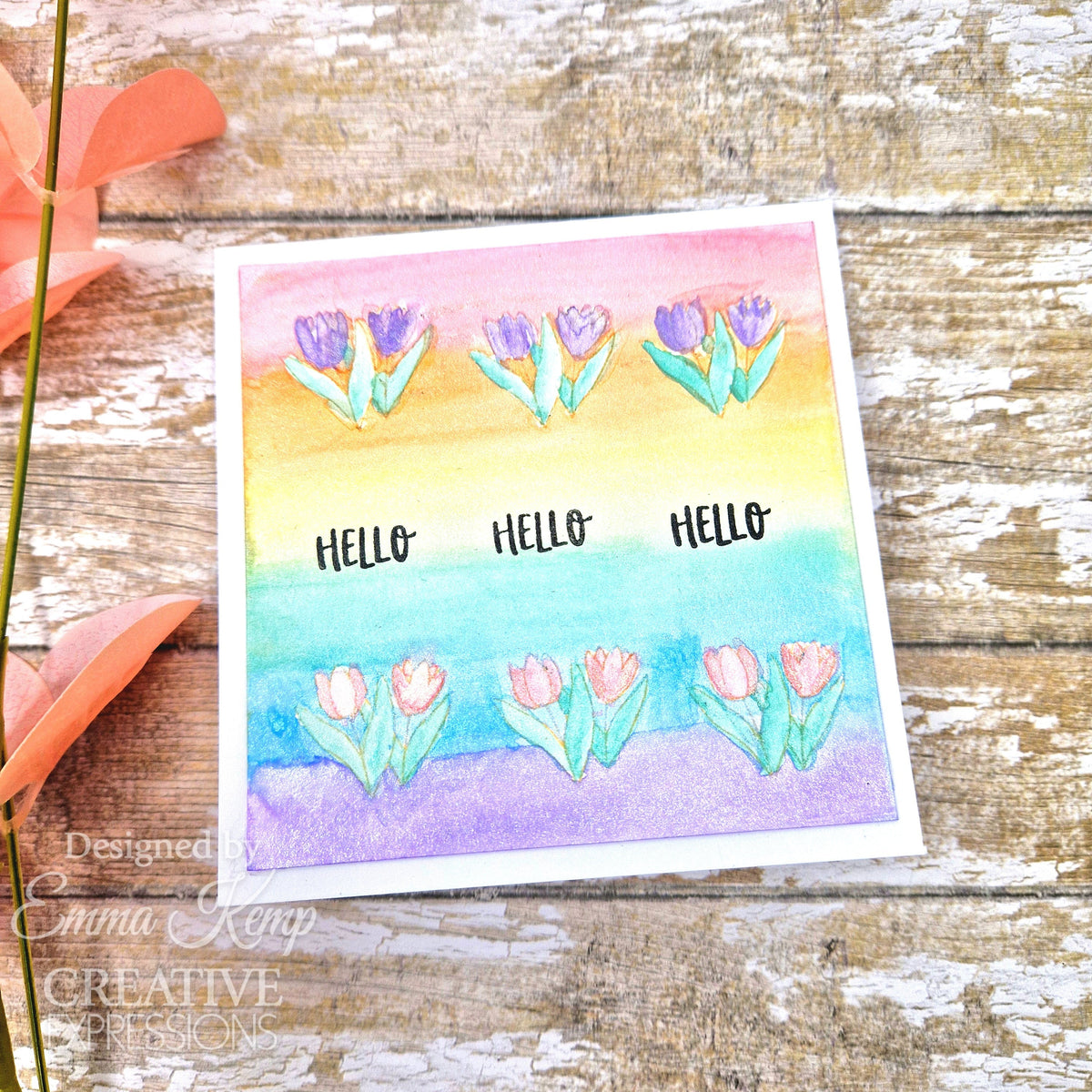 Creative Expressions Jane's Doodles Rain or Shine 4 in x 6 in Clear Stamp Set-5