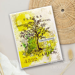 Set de sellos transparentes Creative Expressions Sam Poole Nature de 4 pulg. x 6 pulg.-3