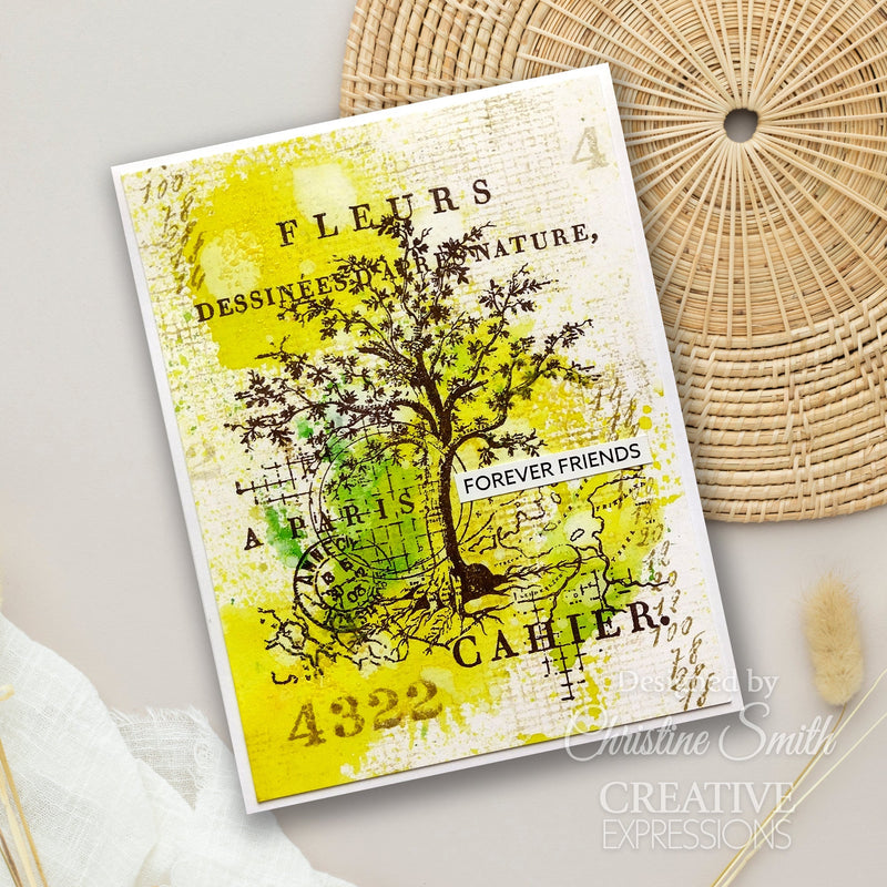 Set de sellos transparentes Creative Expressions Sam Poole Nature de 4 pulg. x 6 pulg.-3