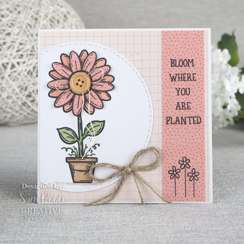 Creative Expressions Sam Poole Daisy Bloom 6 in x 4 in Clear Stamp Set-3