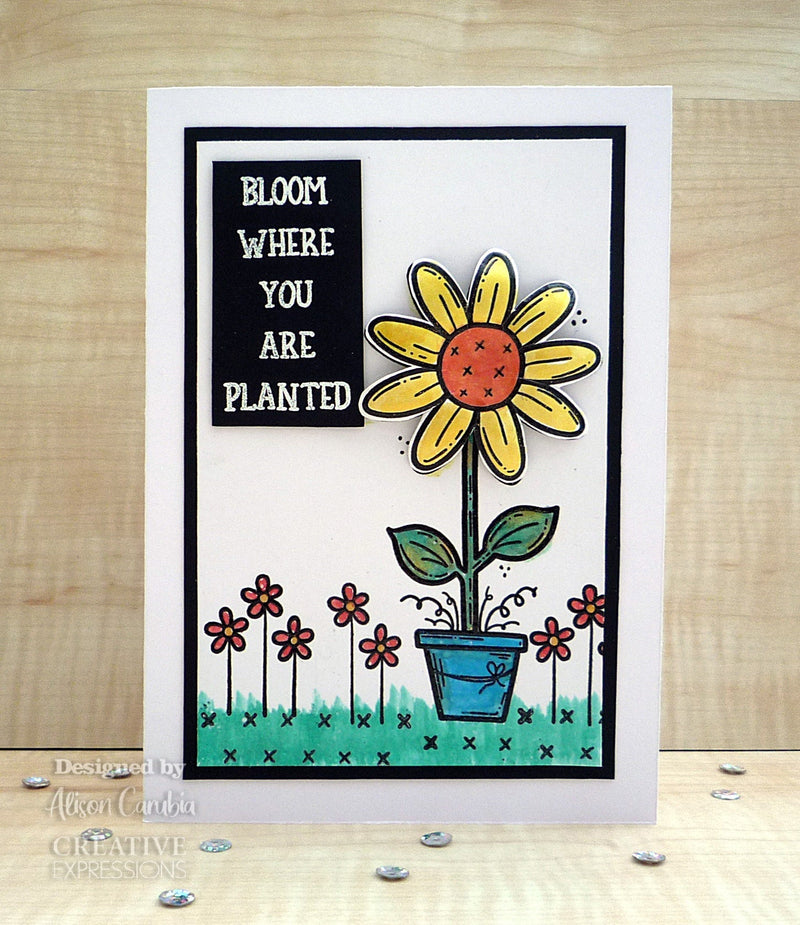 Creative Expressions Sam Poole Daisy Bloom 6 in x 4 in Clear Stamp Set-4