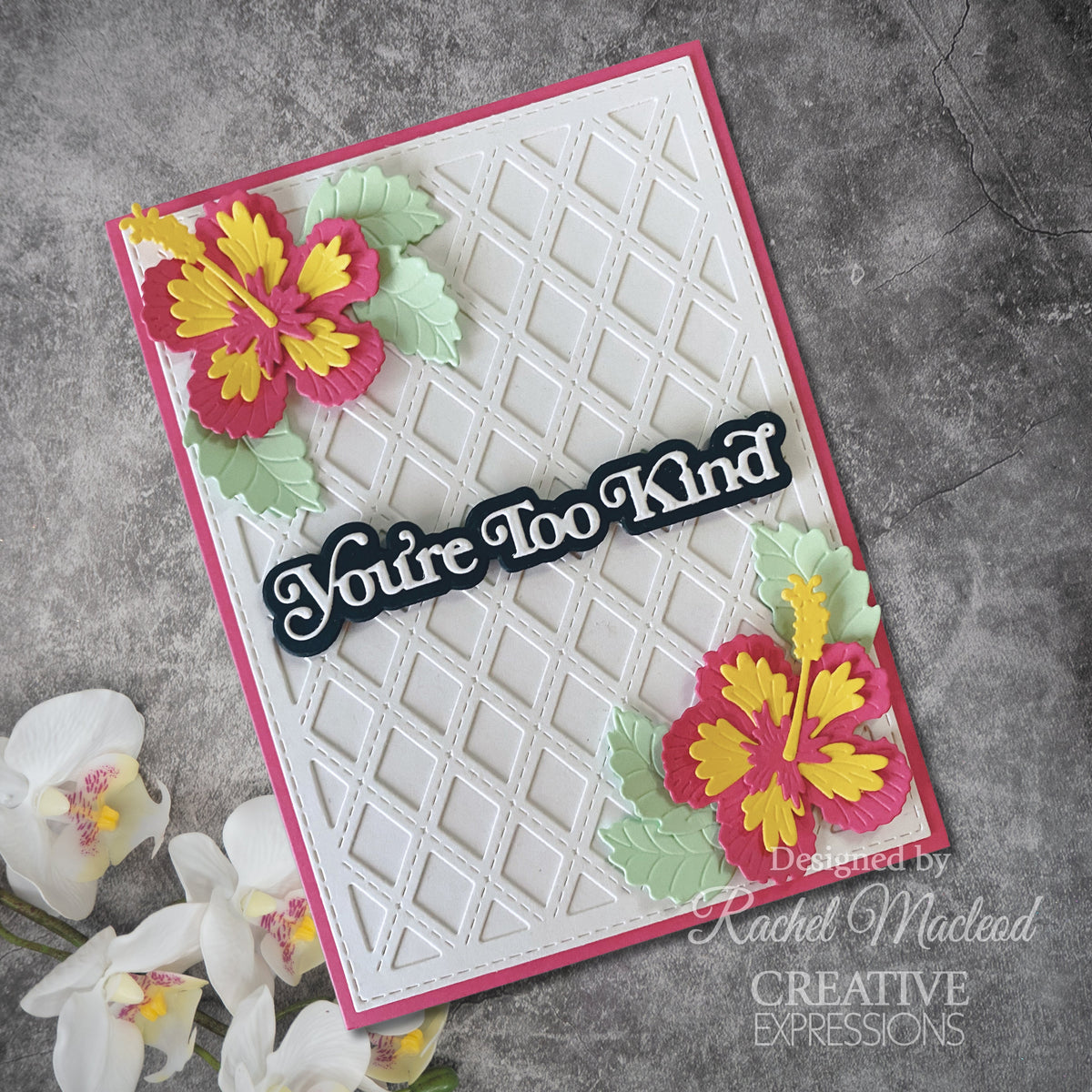 Creative Expressions Sue Wilson Mini Shadowed Sentiments You're Too Kind Craft Die-8