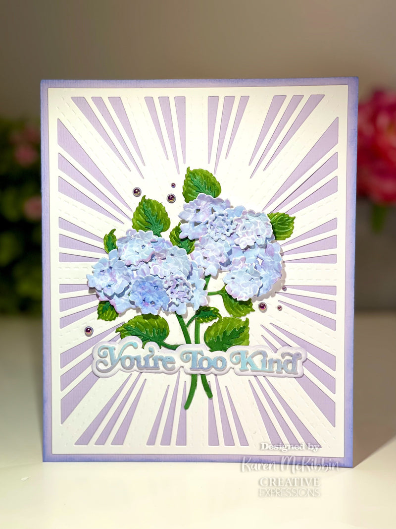 Creative Expressions Sue Wilson Mini Shadowed Sentiments You're Too Kind Craft Die-3