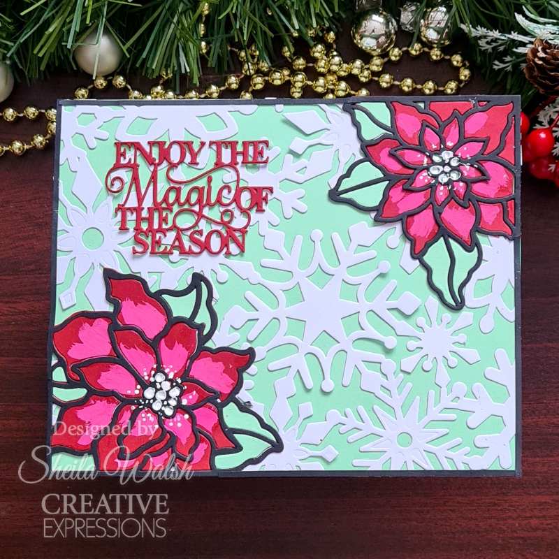Creative Expressions Sue Wilson Festive Snowflake Floating Frame Craft Die-14
