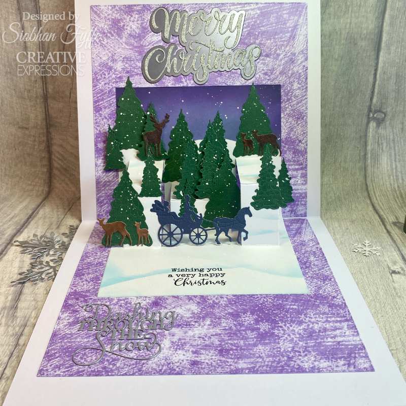 Creative Expressions Sue Wilson Festive Snowflake Floating Frame Craft Die-8
