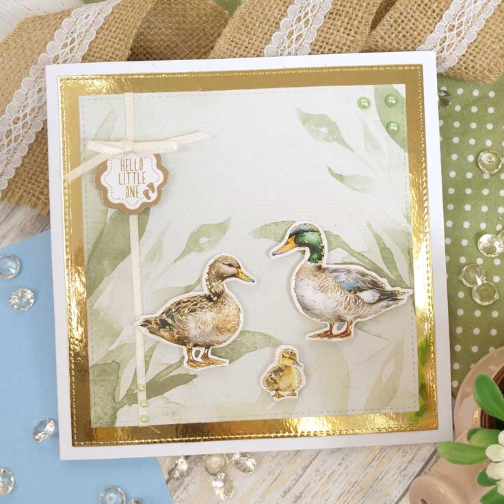 Delightful Die-Cuts - Beautiful Birds-4