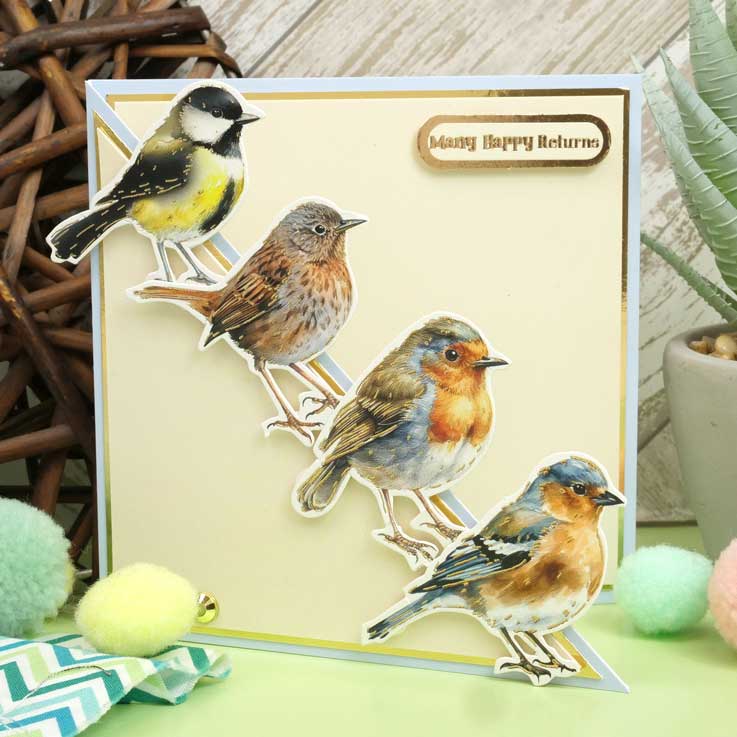 Delightful Die-Cuts - Beautiful Birds-5