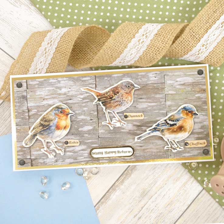 Delightful Die-Cuts - Beautiful Birds-7
