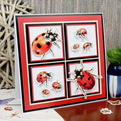 Delightful Die-Cuts - Garden Visitors-4