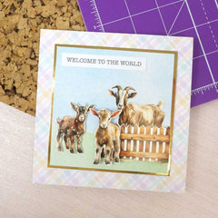 Delightful Die-Cuts - Evergreen Farm-4
