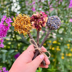 Apple Stick Lollipop Bouquet-3