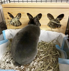 "Triple Bunny Head" Hay Feeder & Litter Box-5