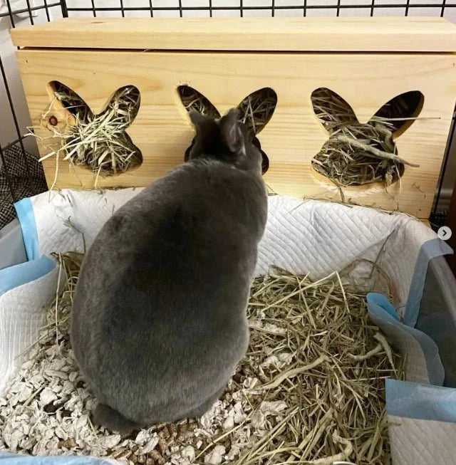"Triple Bunny Head" Hay Feeder & Litter Box-5