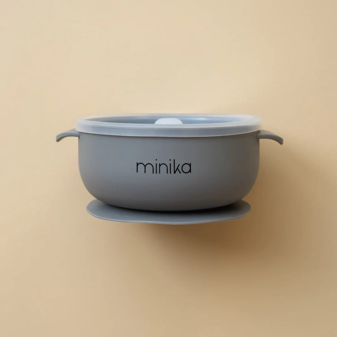 Silicone Bowl with Lid-2
