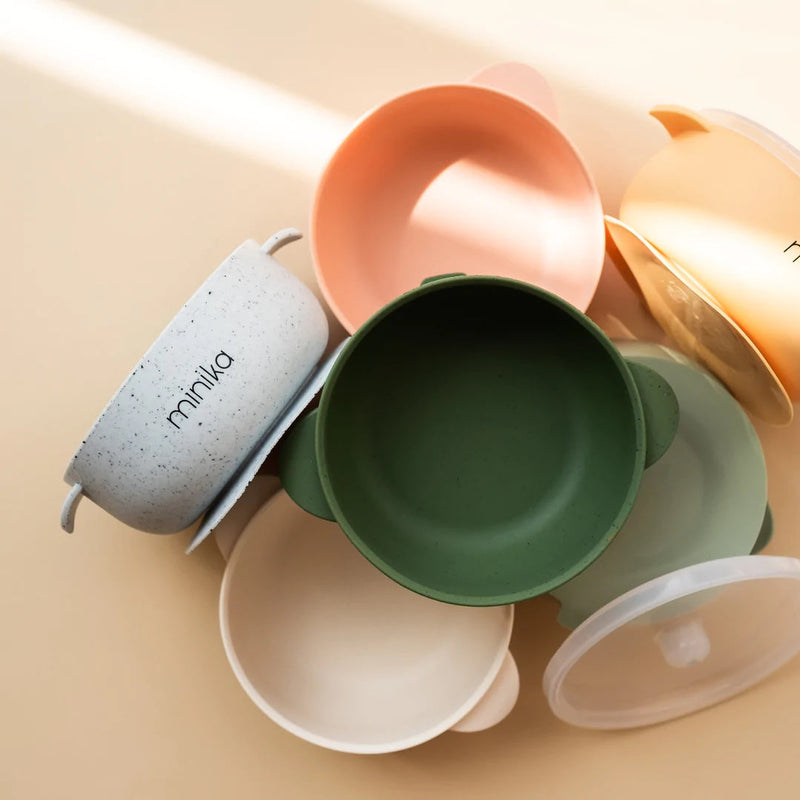 Silicone Bowl with Lid-1