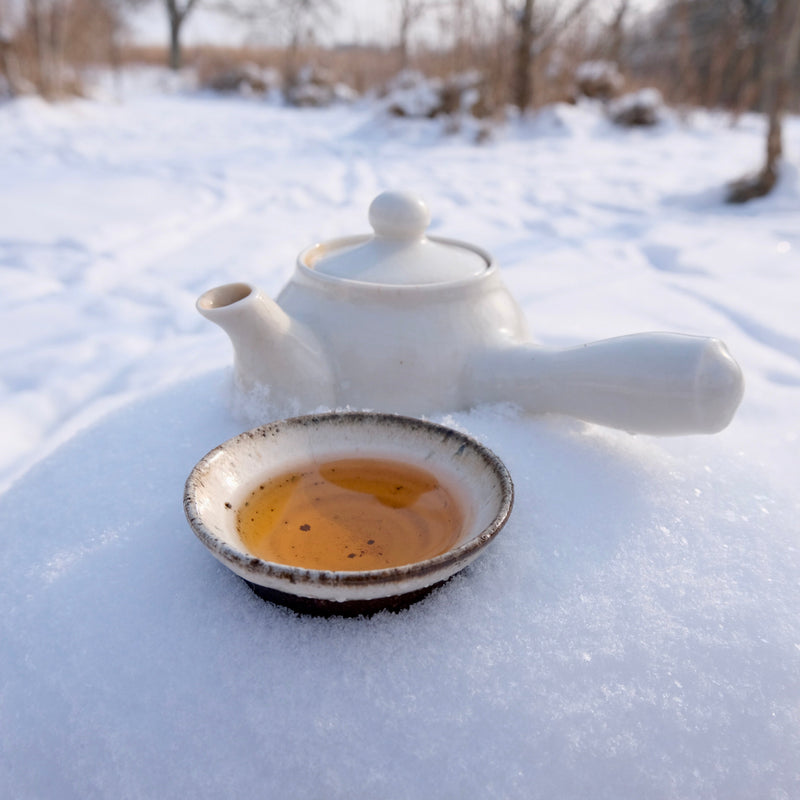 SNOW CHRYSANTHEMUM TEA-3