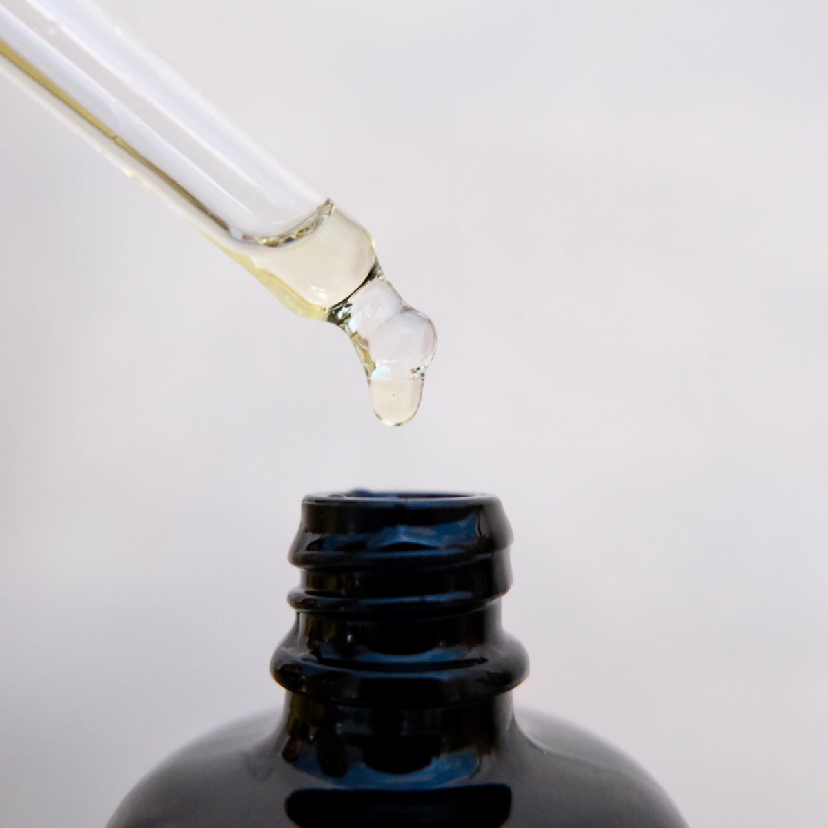 PALMA CHRISTI: CASTOR OIL-3
