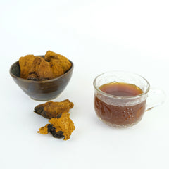 CHAGA MUSHROOM CHUNKS-3