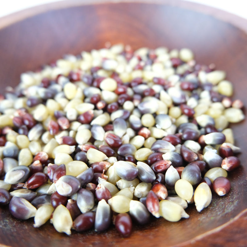 AMISH COUNTRY POPPING CORN-3