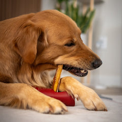 Bully Stick Safety Holder-3