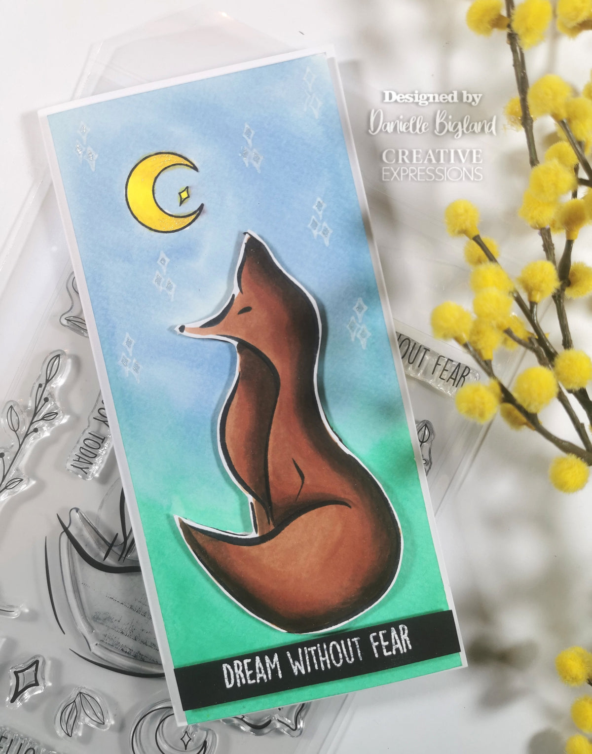 Creative Expressions Bonnita Moaby Clever Fox A5 Clear Stamp Set-2