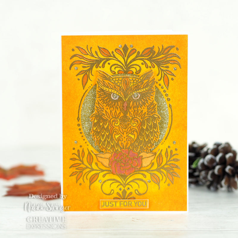 Creative Expressions Designer Boutique Collection Owl Be There For Twit Twoo A6 Clear Stamp Set-2