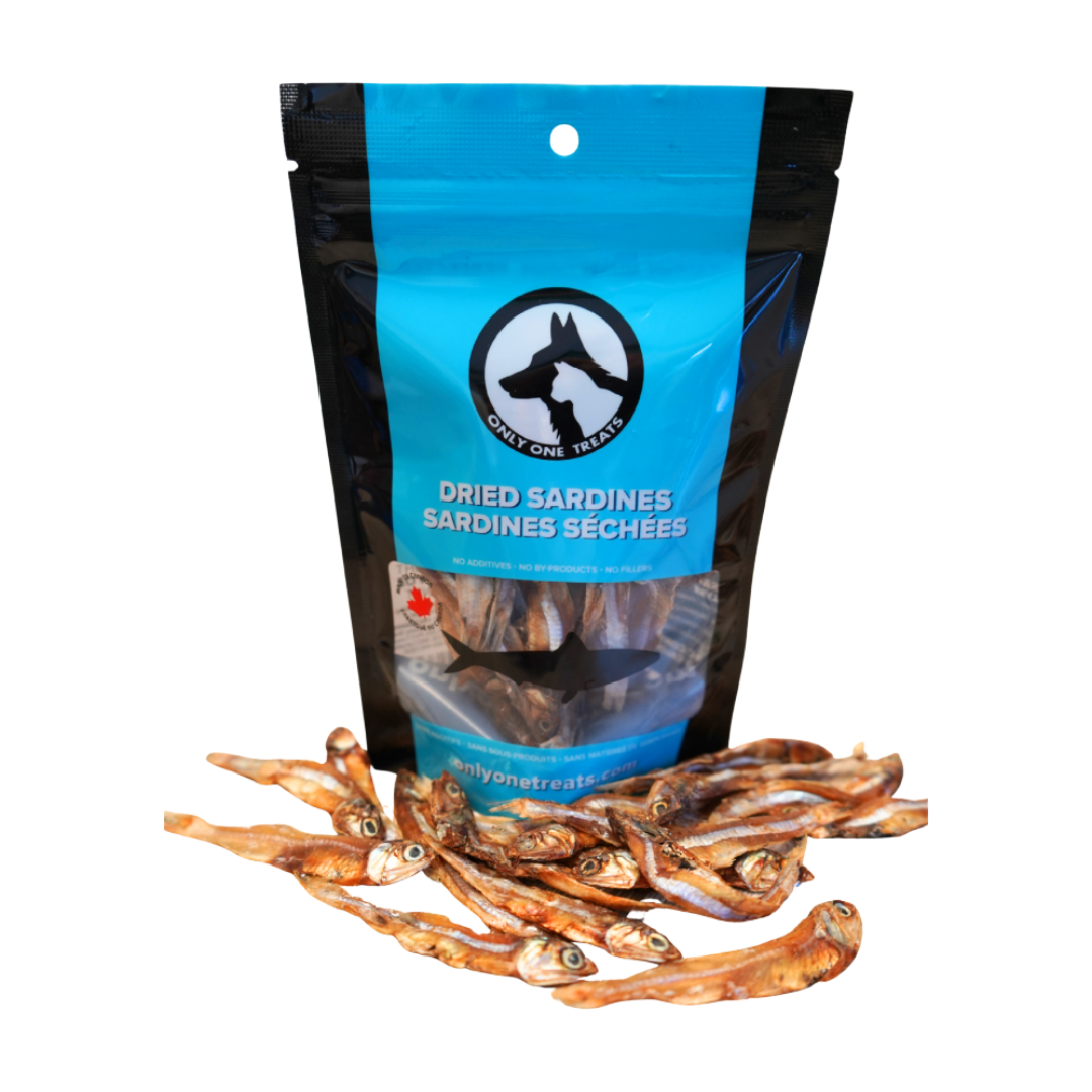 Dried Sardines 40g-1