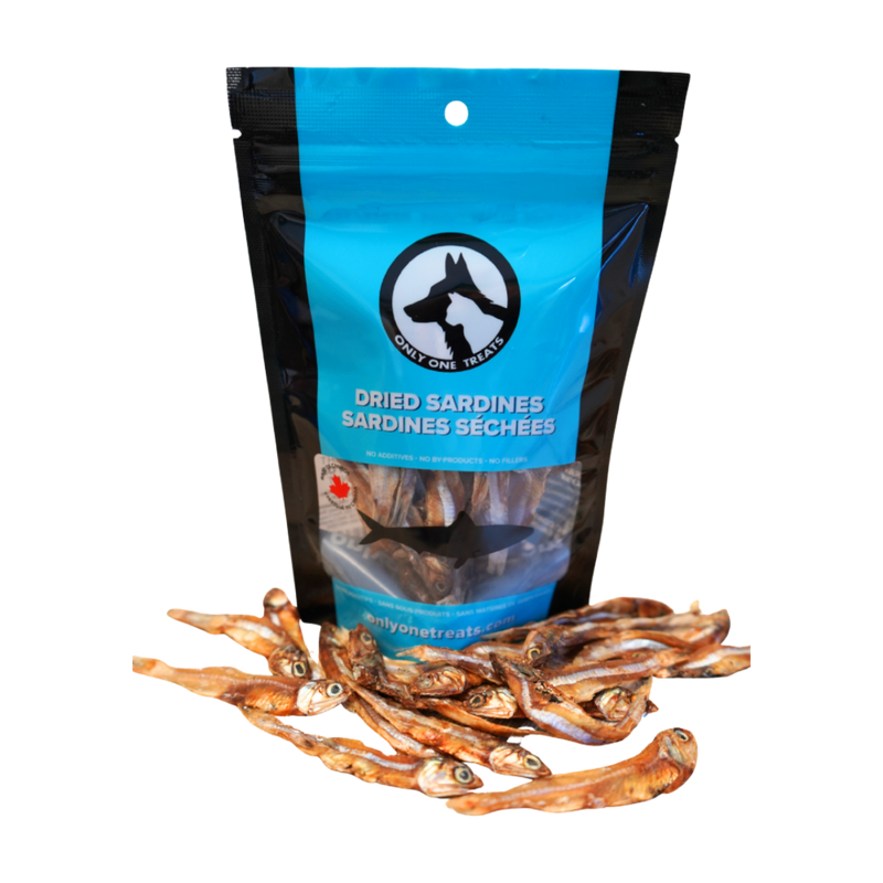 Dried Sardines 40g-1