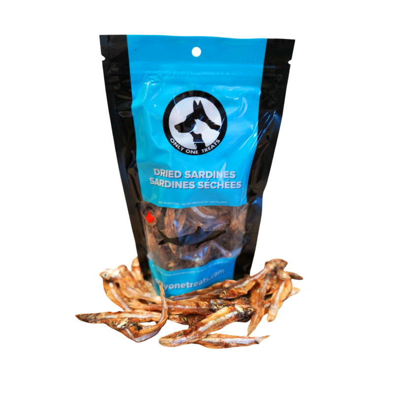 Dried Sardines 90g-1