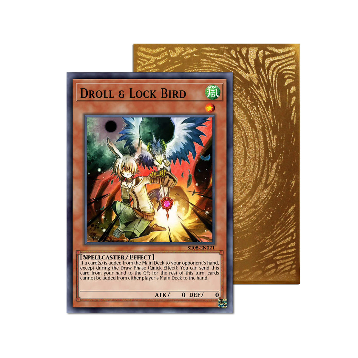 Droll & Lock Bird Metal Orica Card-1