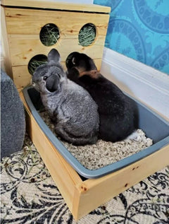 Four Hole Hay Feeder and Litter Box-5