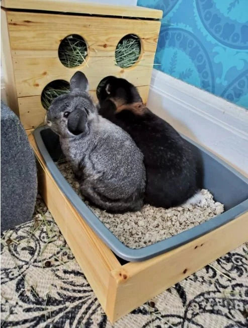Four Hole Hay Feeder and Litter Box-5