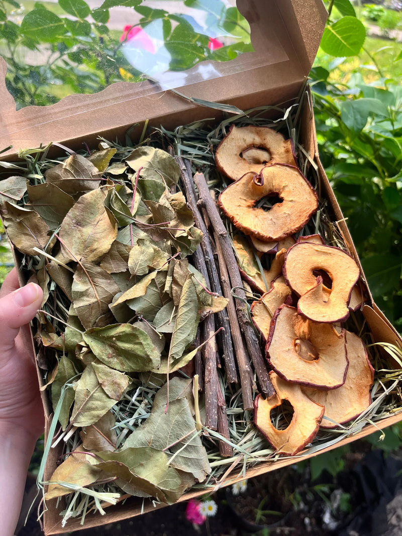 Apple Orchard Forage Box-2
