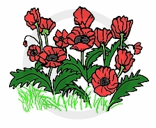 Frog's Whiskers Ink Stamp - Wild Poppies-1