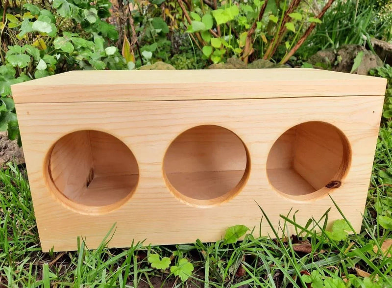 Hay Box for Bunnies & Guinea Pigs-2