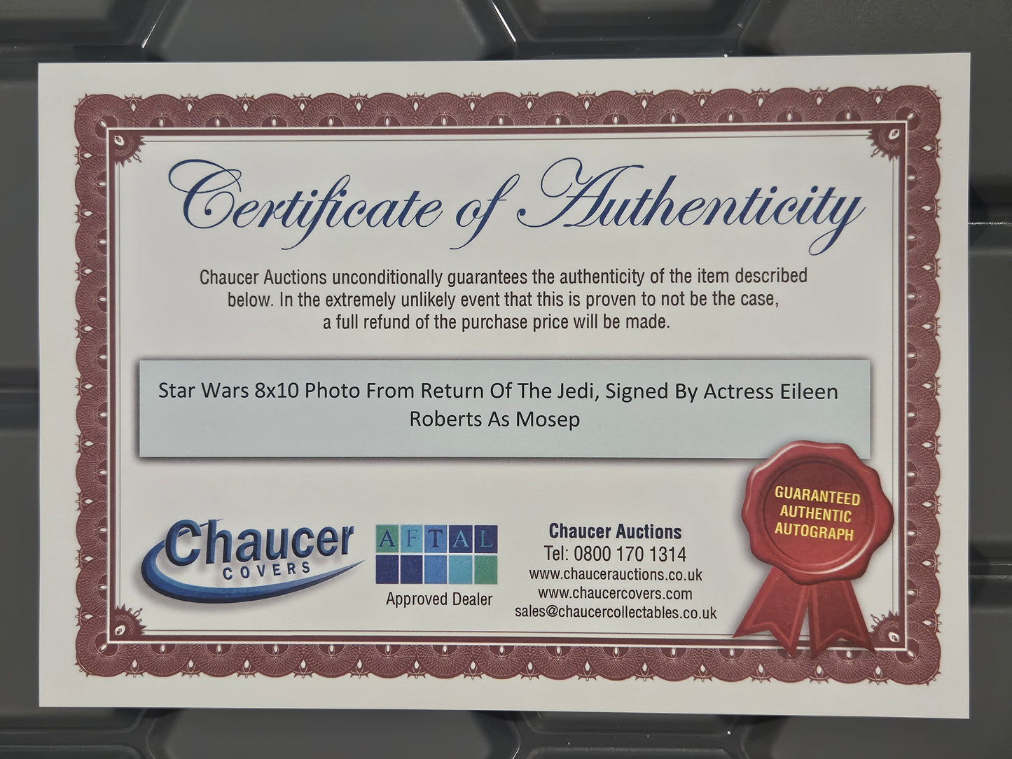 Star Wars – Mosep Binneed Autographed 8x10 Photo | Signed by Eileen Roberts with COA