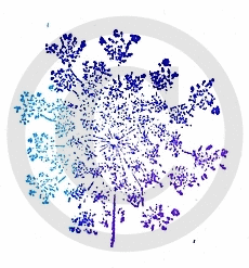 Frog's Whiskers Ink Stamp - Queen Anne's Lace-1