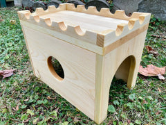 Rabbit Hidey Castle-1