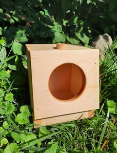 Mini Hay Feeder-4