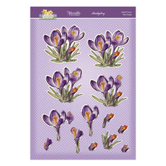 In Full Bloom - Floral Delights Deco-Large Set - Joyful Crocus-3