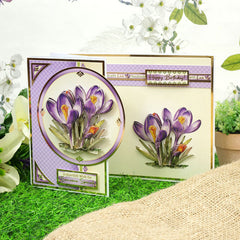 In Full Bloom - Floral Delights Deco-Large Set - Joyful Crocus-8